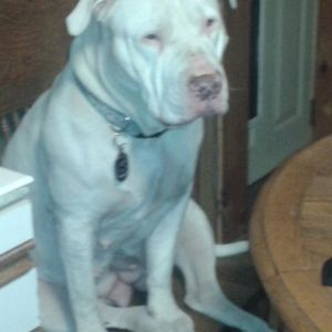 Meet your Posher, Kelly